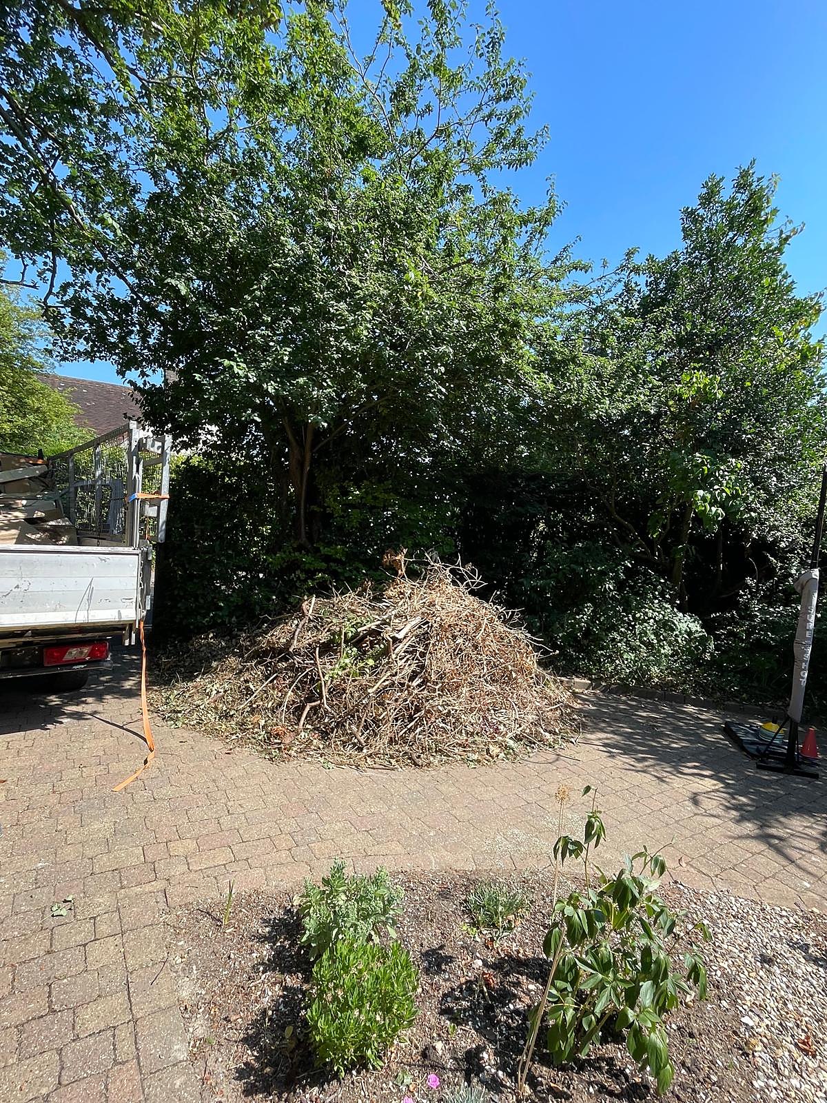 Garden clearance before — pile of branches and green waste